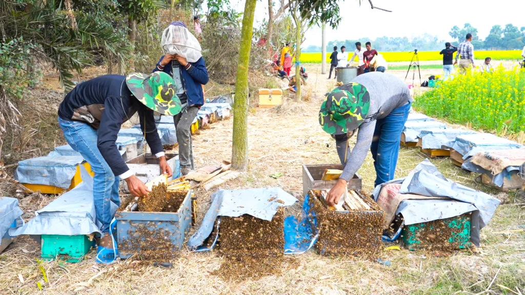 Social Development Program