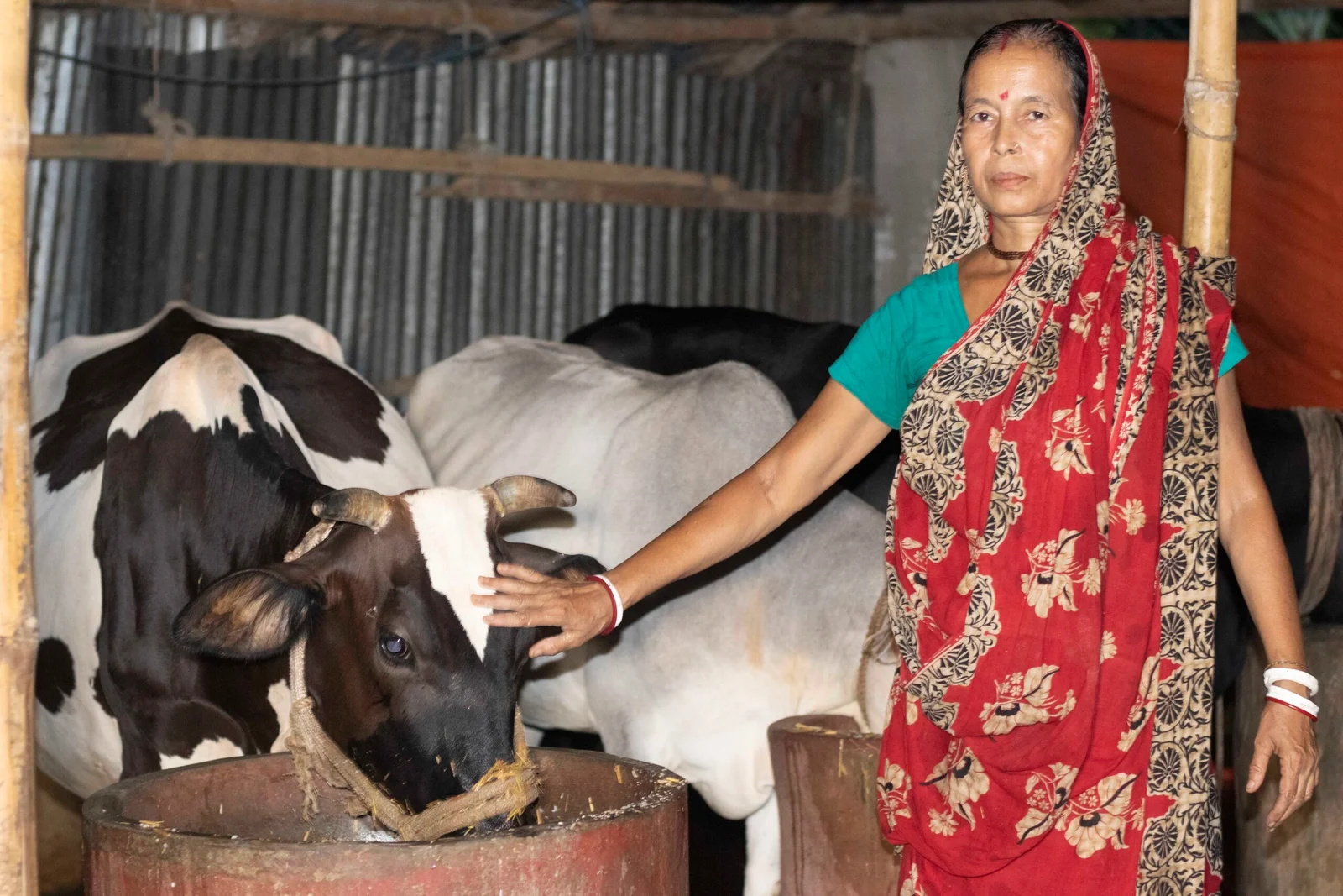 Micro Finance Program (MFP)